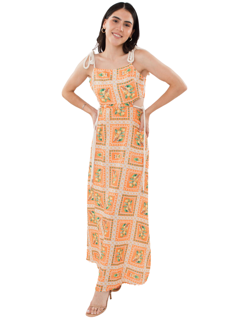 The Fruit Sleeveless Dress