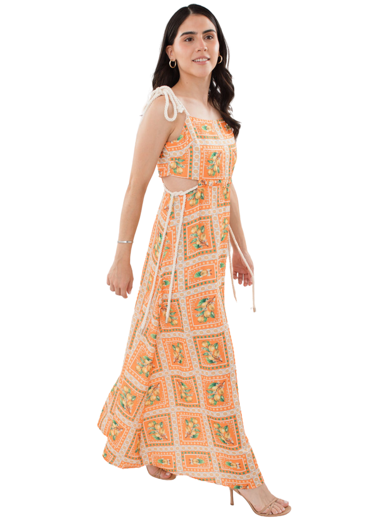 The Fruit Sleeveless Dress