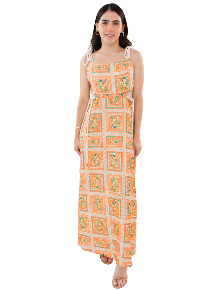 The Fruit Sleeveless Dress